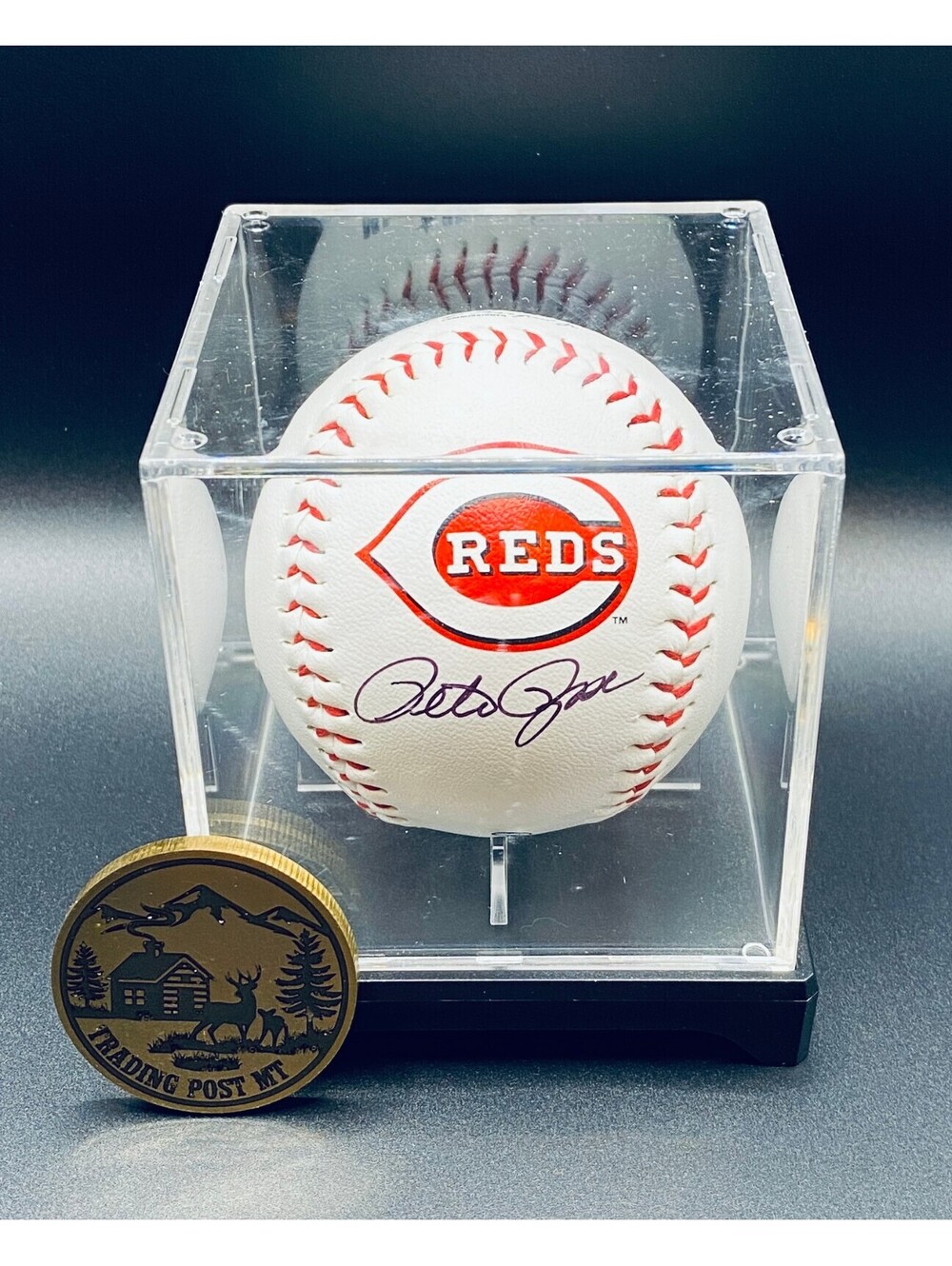 Pete Rose Signed Logo Baseball In Case With COA (Reds)